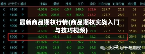 最新商品期权行情(商品期权实战入门与技巧视频)