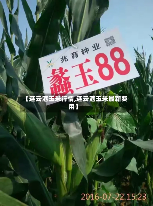 【连云港玉米行情,连云港玉米最新费用】-第2张图片