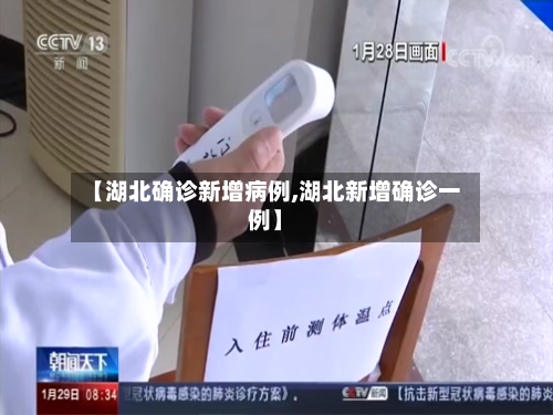 【湖北确诊新增病例,湖北新增确诊一例】-第3张图片