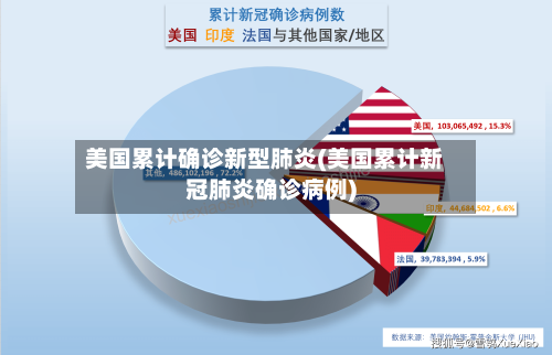 美国累计确诊新型肺炎(美国累计新冠肺炎确诊病例)