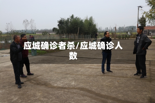 应城确诊者杀/应城确诊人数-第2张图片