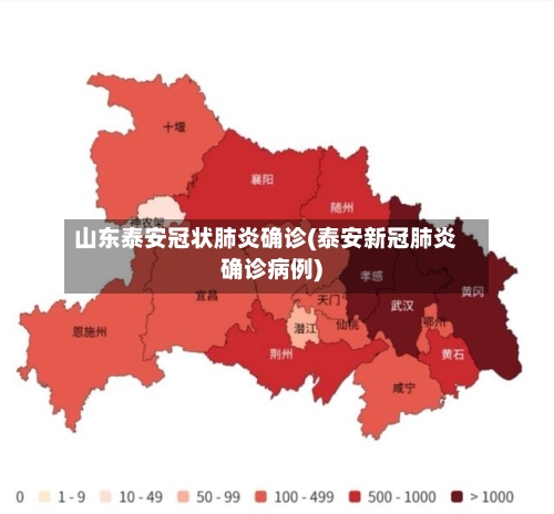 山东泰安冠状肺炎确诊(泰安新冠肺炎确诊病例)
