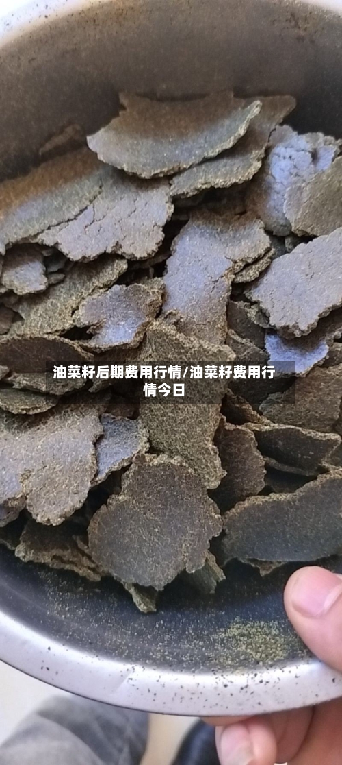 油菜籽后期费用行情/油菜籽费用行情今日