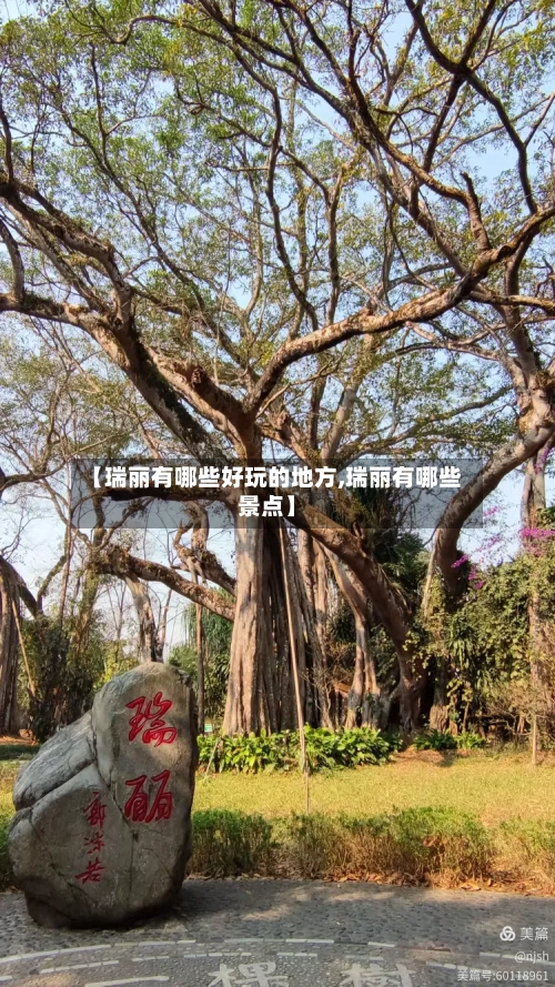 【瑞丽有哪些好玩的地方,瑞丽有哪些景点】-第2张图片