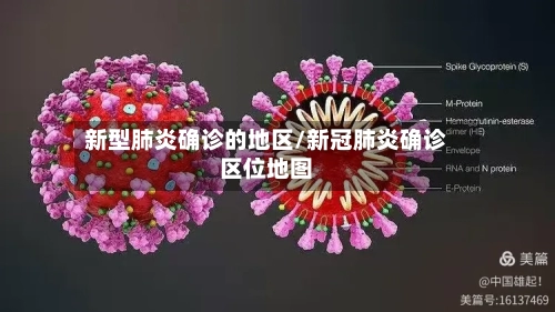 新型肺炎确诊的地区/新冠肺炎确诊区位地图