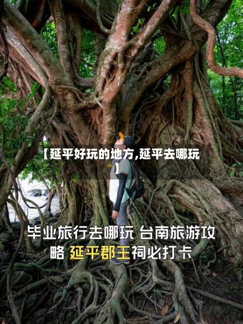 【延平好玩的地方,延平去哪玩】