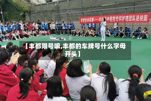 【丰都限号嘛,丰都的车牌号什么字母开头】-第3张图片