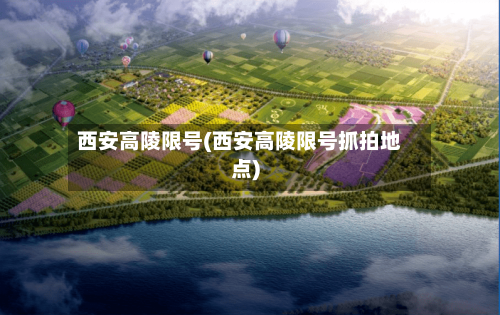 西安高陵限号(西安高陵限号抓拍地点)