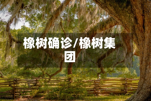 橡树确诊/橡树集团-第2张图片