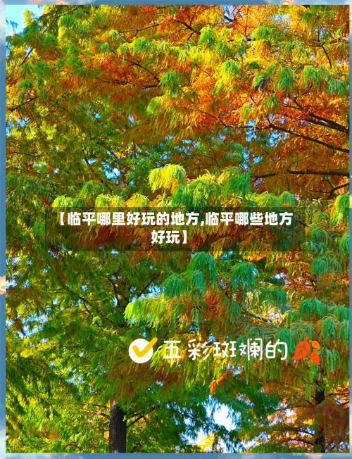 【临平哪里好玩的地方,临平哪些地方好玩】