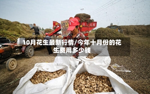 10月花生最新行情/今年十月份的花生费用多少钱-第2张图片