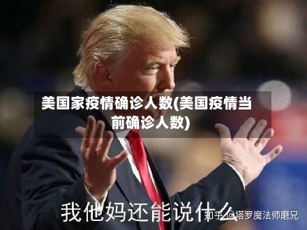 美国家疫情确诊人数(美国疫情当前确诊人数)