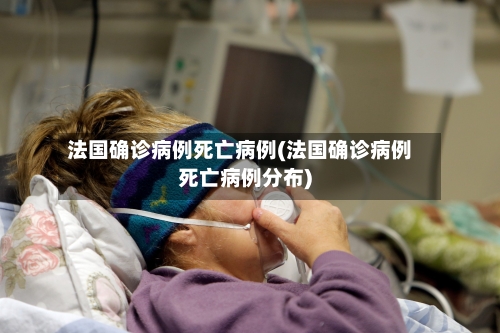 法国确诊病例死亡病例(法国确诊病例死亡病例分布)-第3张图片