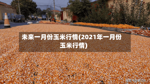 未来一月份玉米行情(2021年一月份玉米行情)