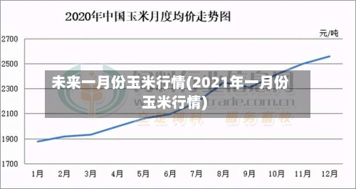未来一月份玉米行情(2021年一月份玉米行情)-第2张图片
