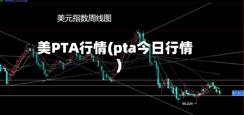 美PTA行情(pta今日行情)