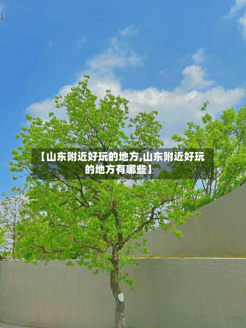 【山东附近好玩的地方,山东附近好玩的地方有哪些】-第2张图片
