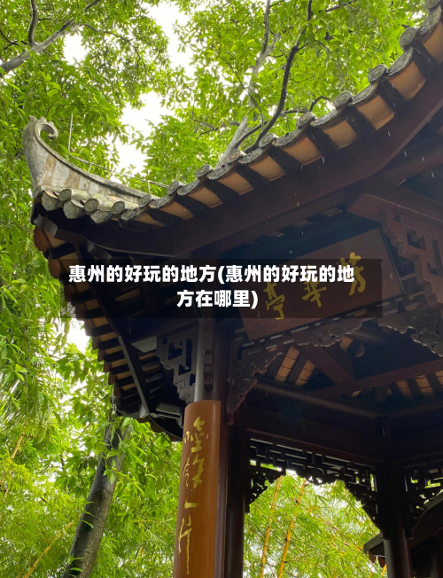 惠州的好玩的地方(惠州的好玩的地方在哪里)-第2张图片