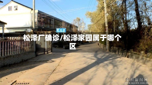 松泽厂确诊/松泽家园属于哪个区-第2张图片
