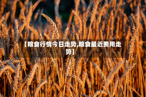 【粮食行情今日走势,粮食最近费用走势】