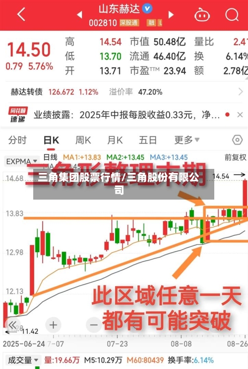 三角集团股票行情/三角股份有限公司-第2张图片