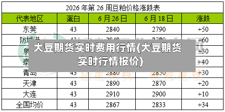 大豆期货实时费用行情(大豆期货实时行情报价)