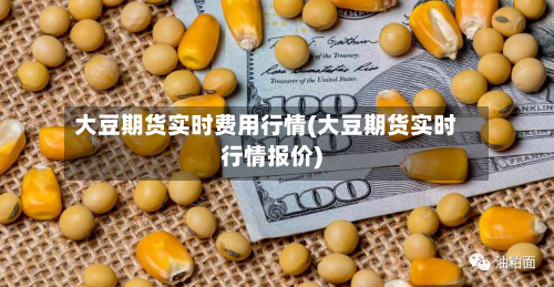 大豆期货实时费用行情(大豆期货实时行情报价)-第3张图片