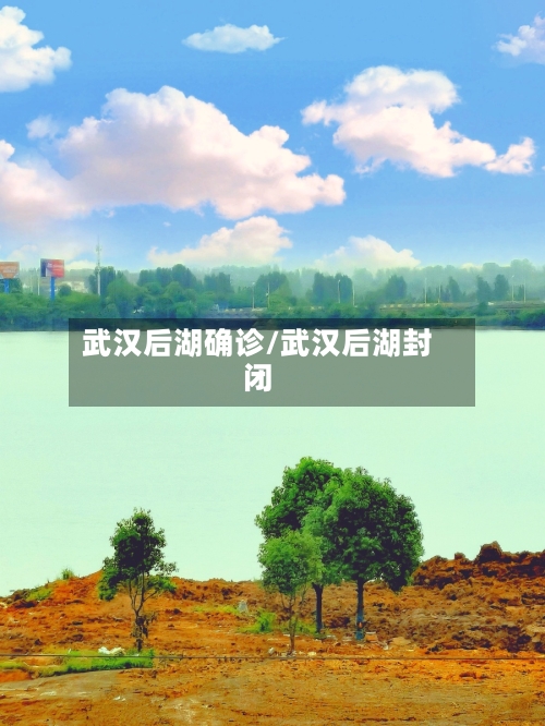 武汉后湖确诊/武汉后湖封闭