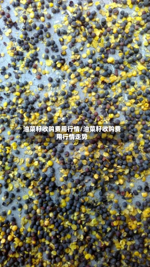 油菜籽收购费用行情/油菜籽收购费用行情走势