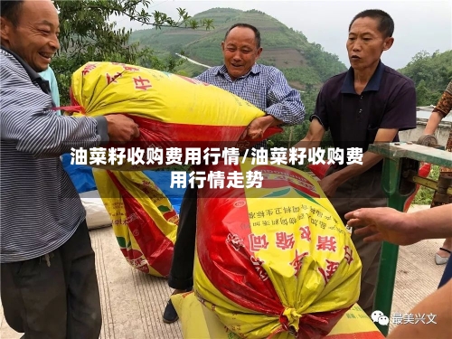 油菜籽收购费用行情/油菜籽收购费用行情走势-第2张图片
