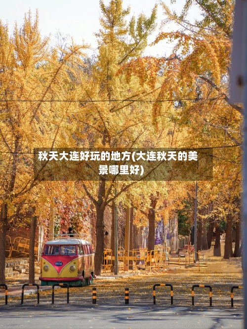 秋天大连好玩的地方(大连秋天的美景哪里好)-第2张图片