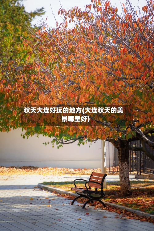 秋天大连好玩的地方(大连秋天的美景哪里好)