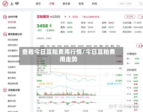 查看今日豆粕费用行情/今日豆粕费用走势-第2张图片