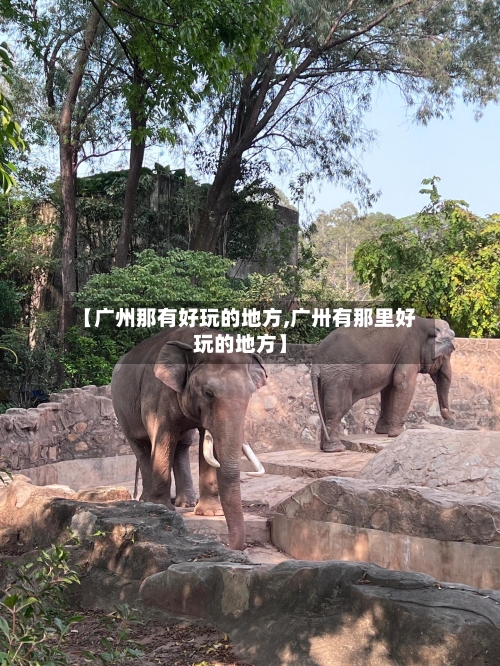 【广州那有好玩的地方,广卅有那里好玩的地方】