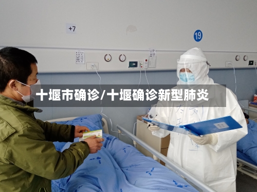 十堰市确诊/十堰确诊新型肺炎-第2张图片