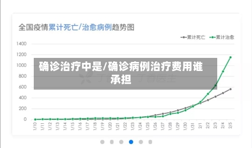 确诊治疗中是/确诊病例治疗费用谁承担-第2张图片