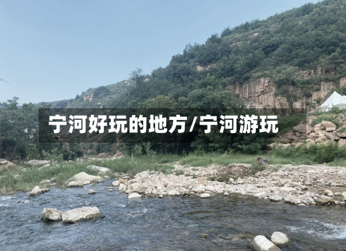 宁河好玩的地方/宁河游玩