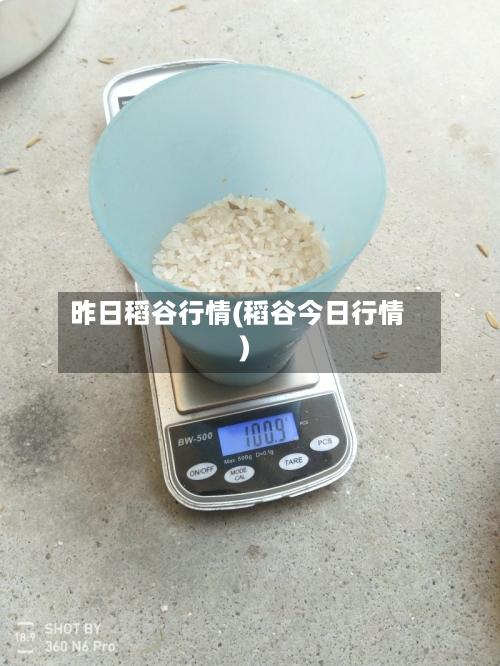 昨日稻谷行情(稻谷今日行情)