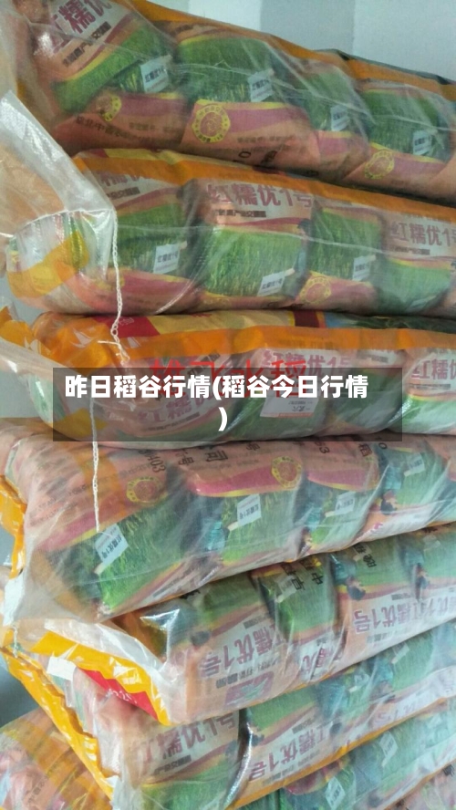 昨日稻谷行情(稻谷今日行情)-第2张图片