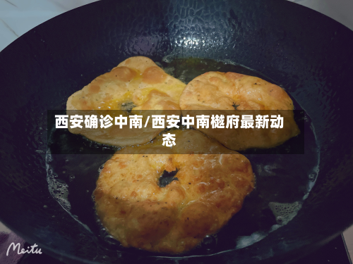 西安确诊中南/西安中南樾府最新动态