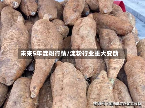 未来5年淀粉行情/淀粉行业重大变动-第3张图片