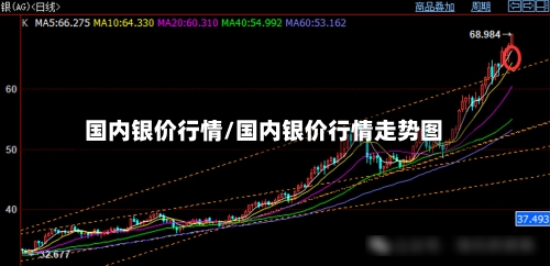 国内银价行情/国内银价行情走势图-第2张图片