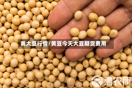 黄大豆行情/黄豆今天大豆期货费用-第3张图片