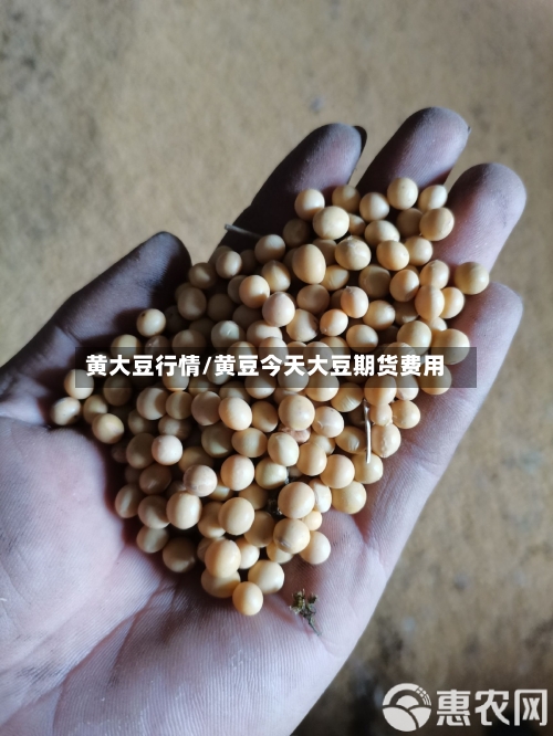 黄大豆行情/黄豆今天大豆期货费用