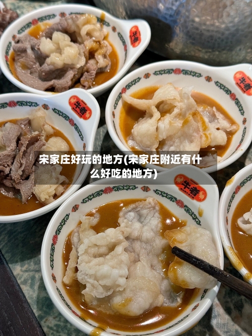 宋家庄好玩的地方(宋家庄附近有什么好吃的地方)-第2张图片