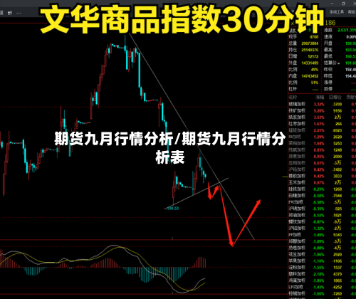 期货九月行情分析/期货九月行情分析表-第3张图片