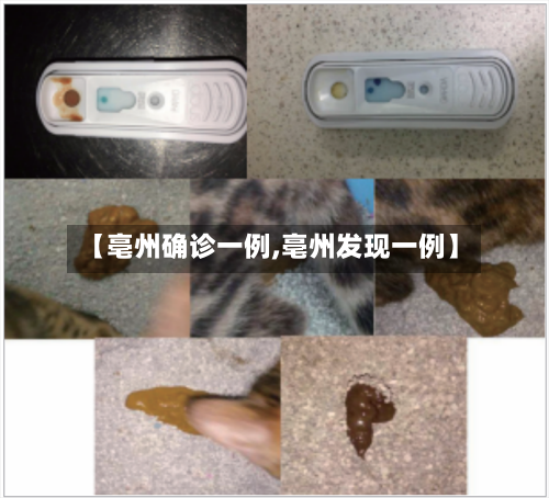 【亳州确诊一例,亳州发现一例】-第2张图片
