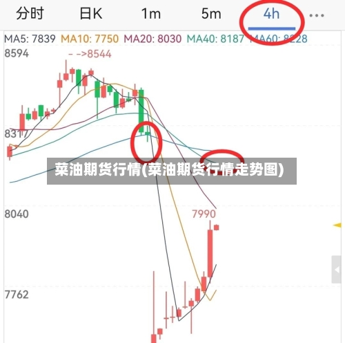 菜油期货行情(菜油期货行情走势图)-第3张图片