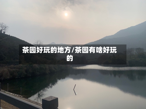 茶园好玩的地方/茶园有啥好玩的