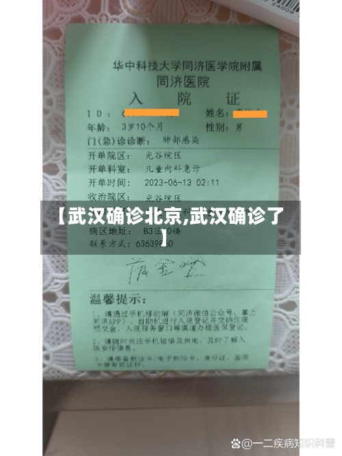 【武汉确诊北京,武汉确诊了】-第3张图片